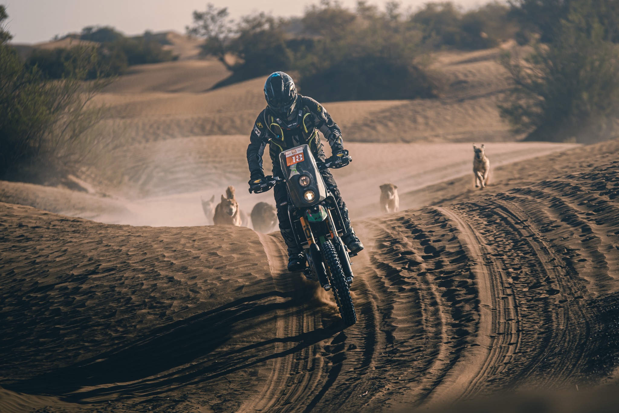 AJP PR7 bei Merzouga im Sand